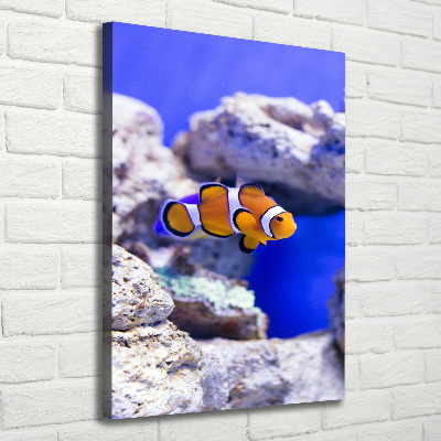 Canvas wall art Nemo fish