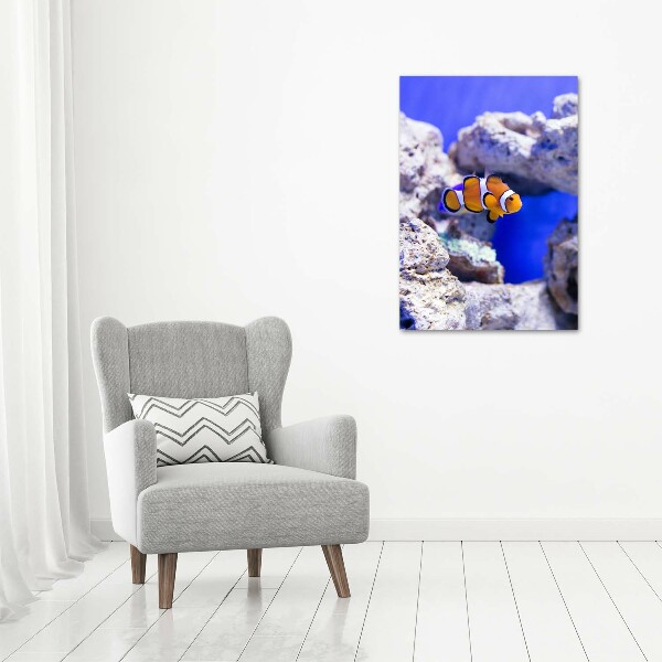 Canvas wall art Nemo fish