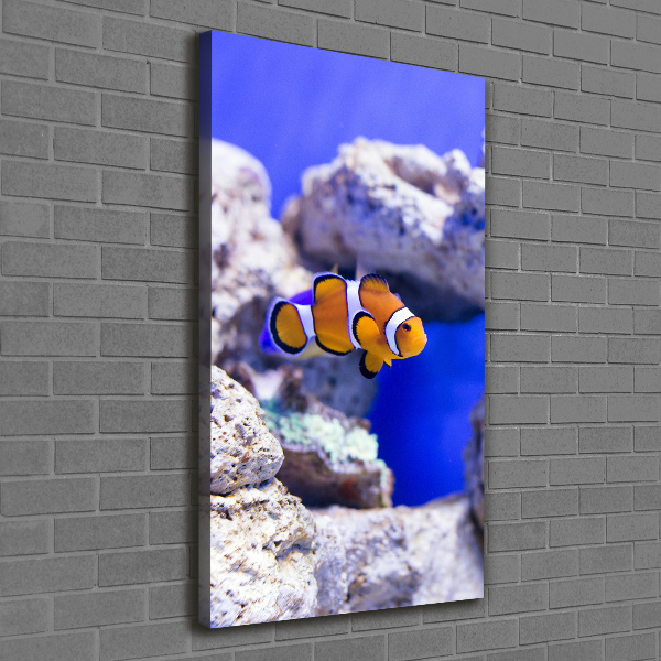 Canvas wall art Nemo fish