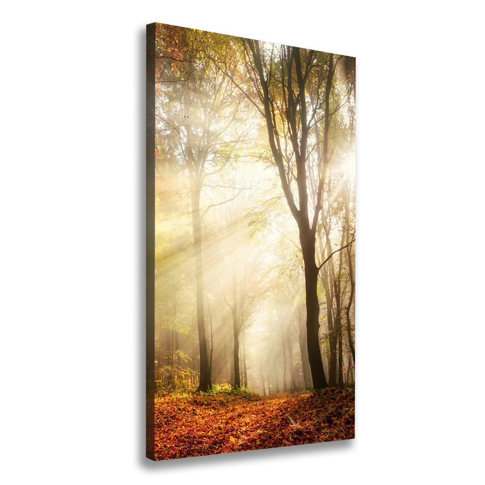 Canvas print Forest in autumn