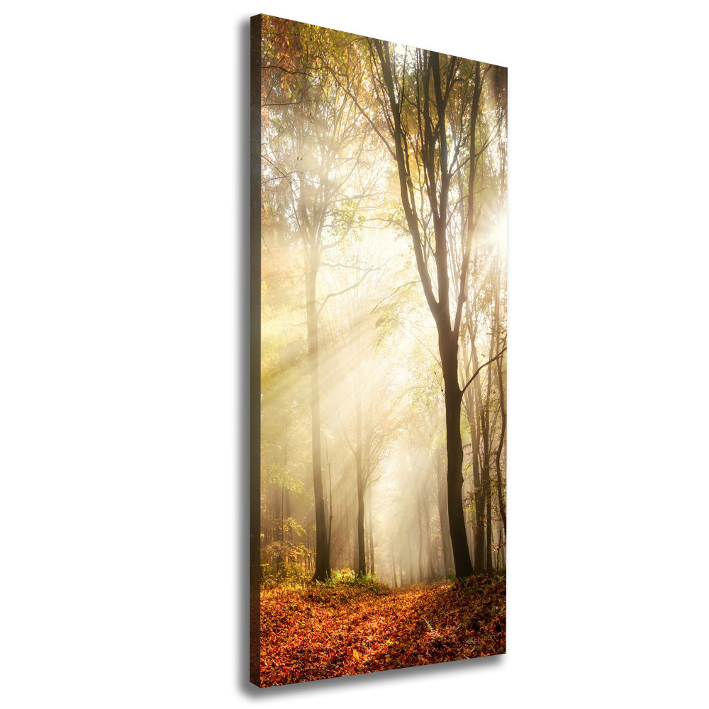 Canvas print Forest in autumn