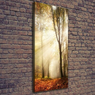 Canvas print Forest in autumn