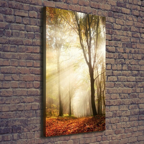 Canvas print Forest in autumn