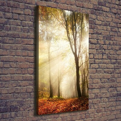 Canvas print Forest in autumn