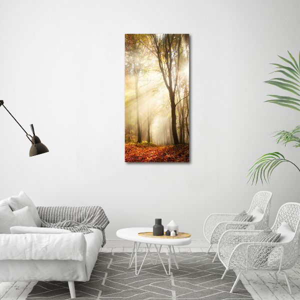 Canvas print Forest in autumn