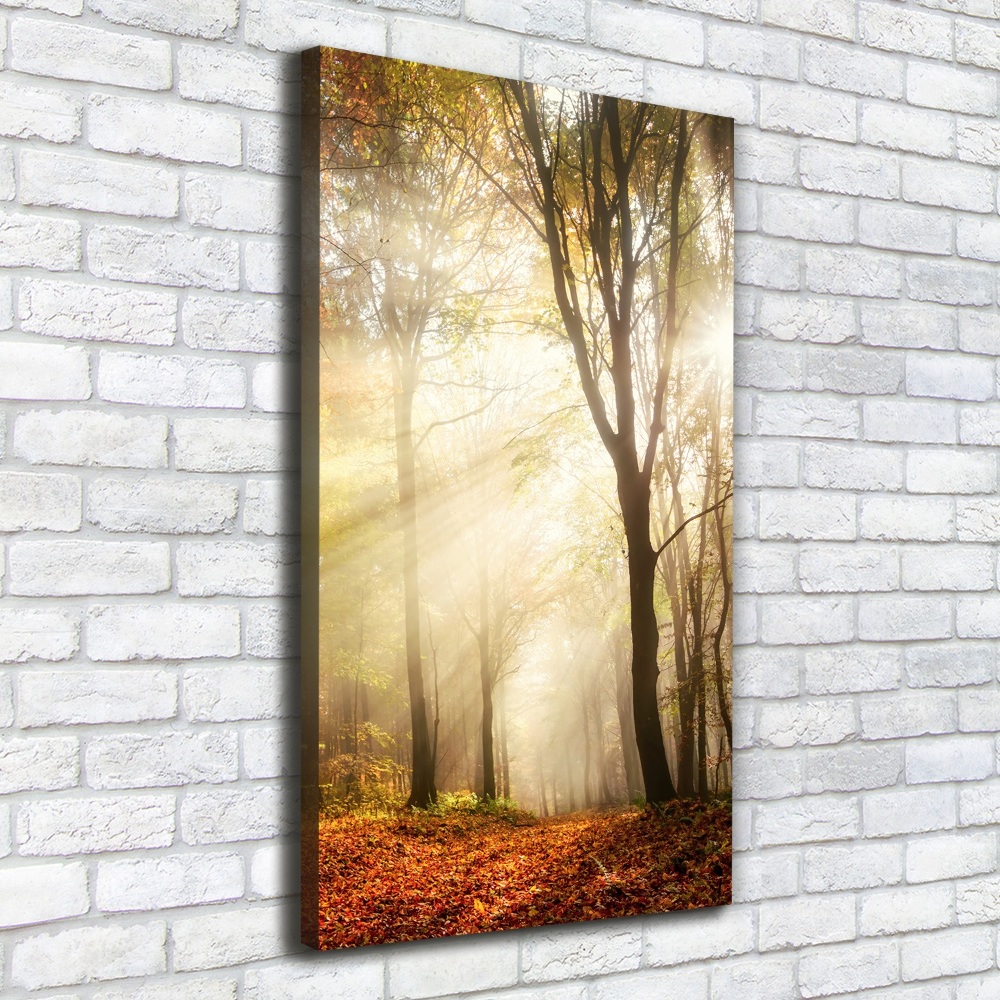 Canvas print Forest in autumn