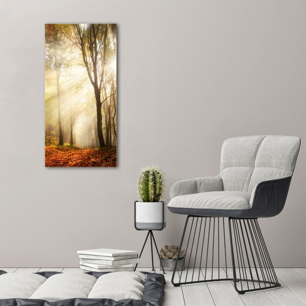 Canvas print Forest in autumn