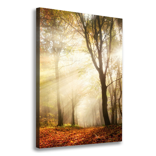 Canvas print Forest in autumn