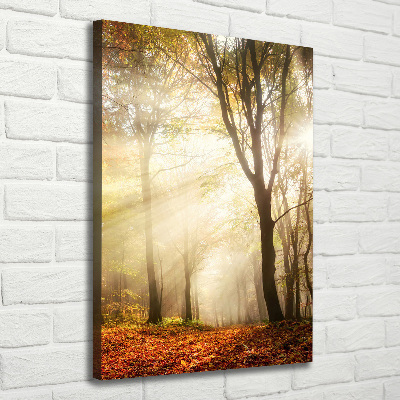 Canvas print Forest in autumn