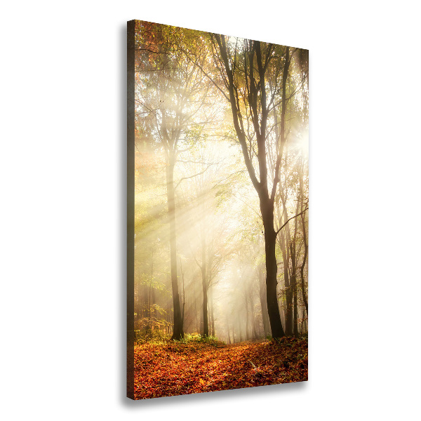 Canvas print Forest in autumn