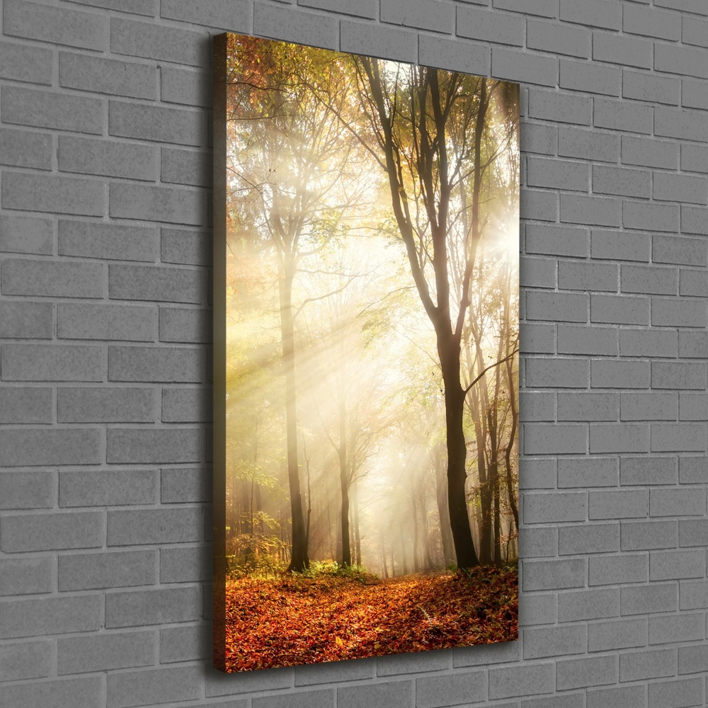 Canvas print Forest in autumn