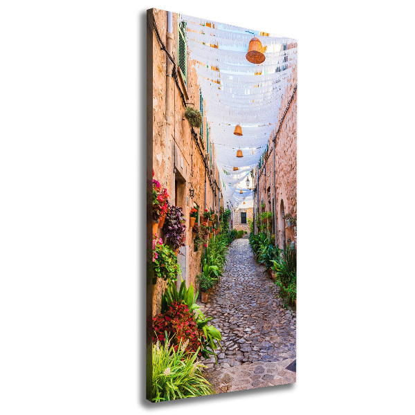 Canvas wall art Majorca Spain