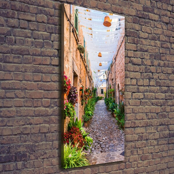 Canvas wall art Majorca Spain