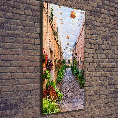 Canvas wall art Majorca Spain