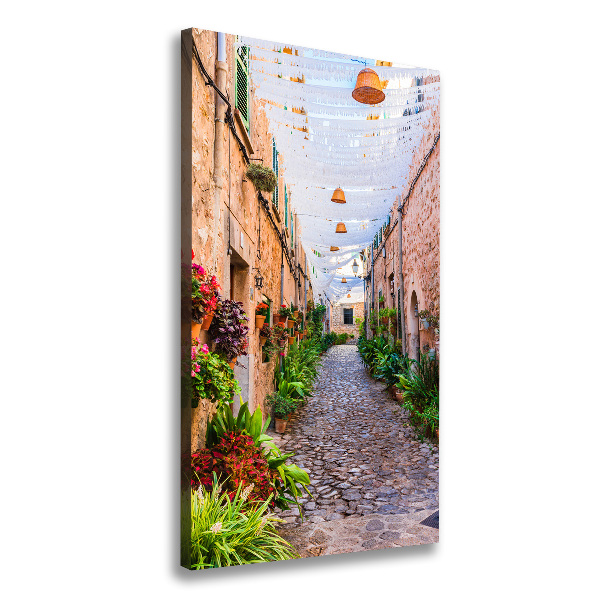 Canvas wall art Majorca Spain