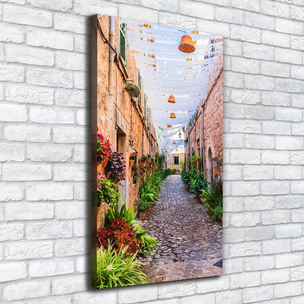 Canvas wall art Majorca Spain