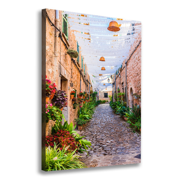 Canvas wall art Majorca Spain