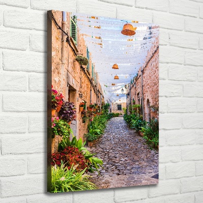 Canvas wall art Majorca Spain