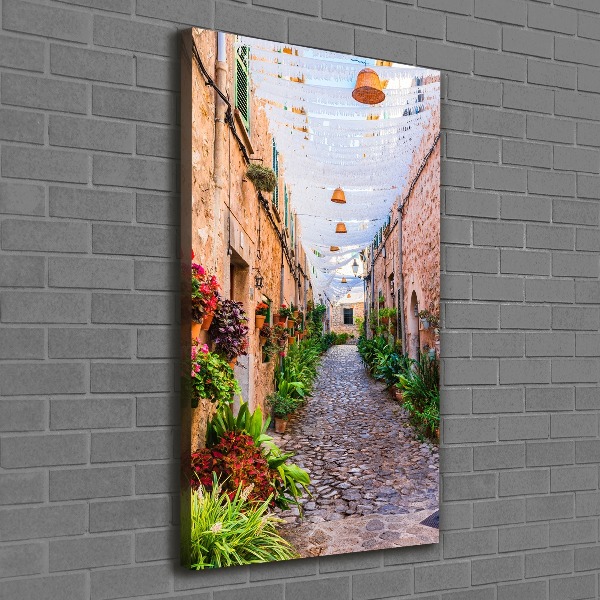 Canvas wall art Majorca Spain