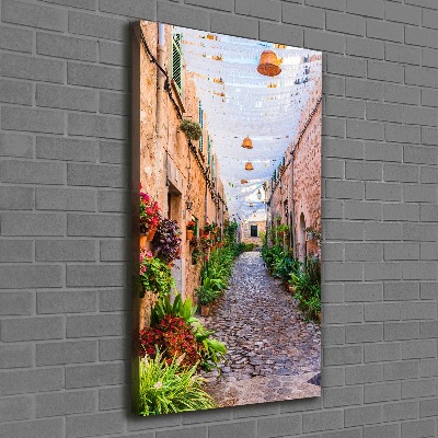 Canvas wall art Majorca Spain