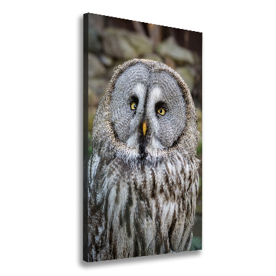 Canvas wall art Owl