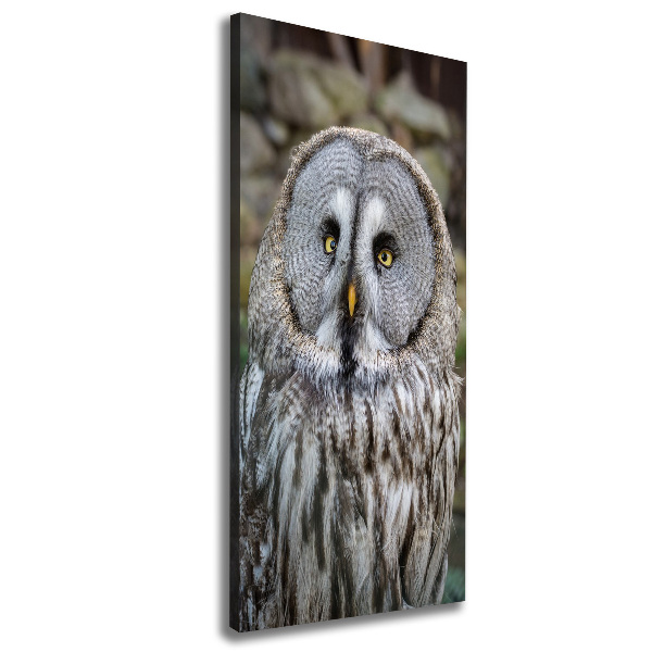 Canvas wall art Owl