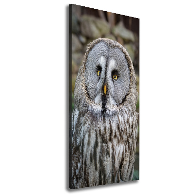 Canvas wall art Owl