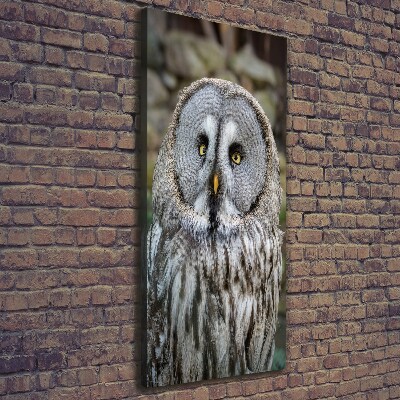 Canvas wall art Owl