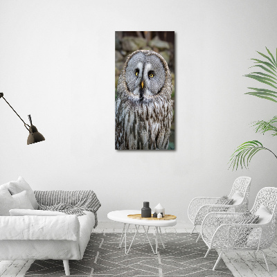 Canvas wall art Owl