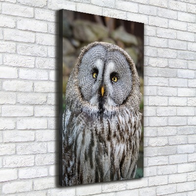 Canvas wall art Owl