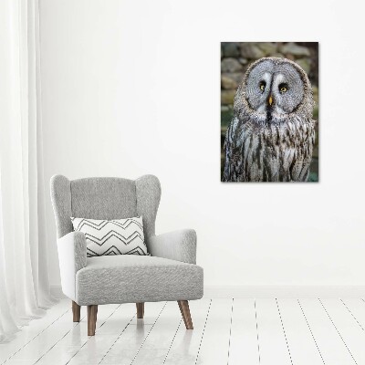 Canvas wall art Owl