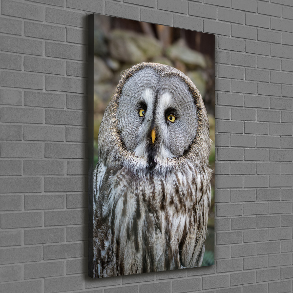 Canvas wall art Owl