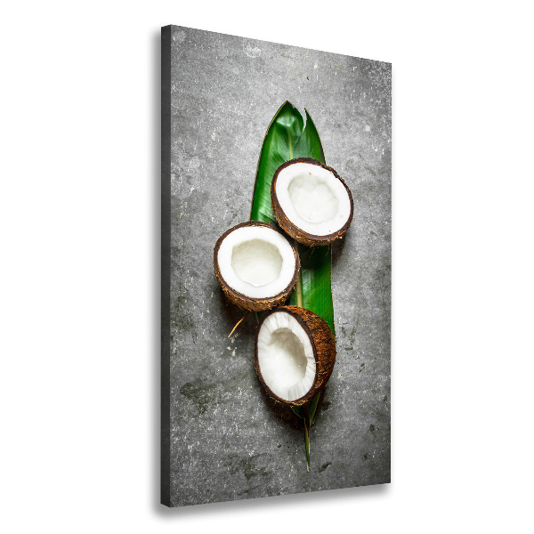 Canvas wall art Coconut on the leaf