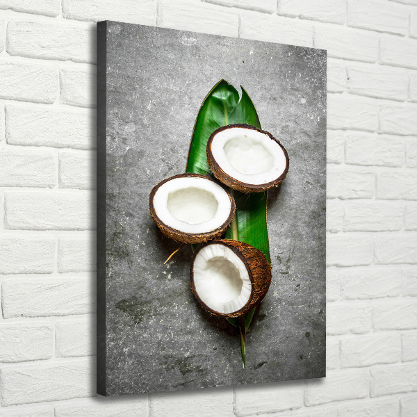 Canvas wall art Coconut on the leaf