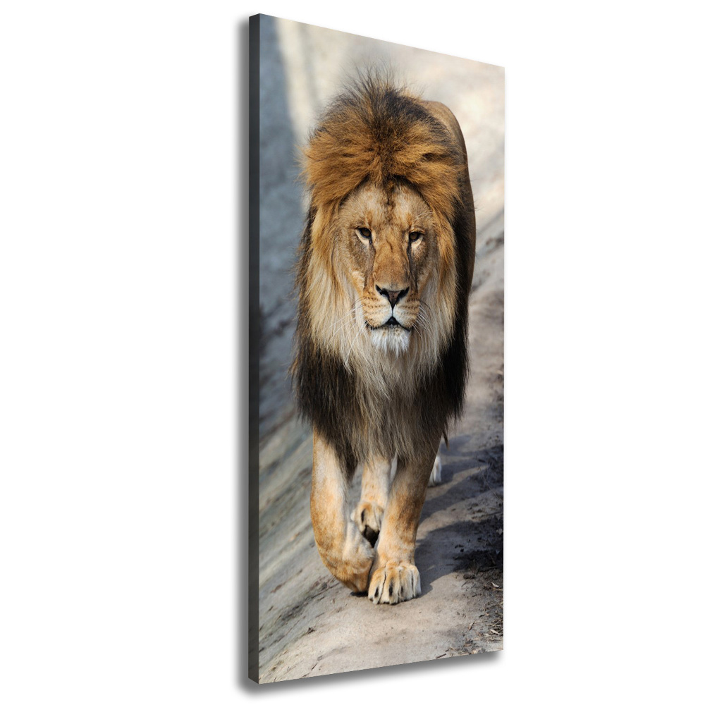 Canvas wall art Lion