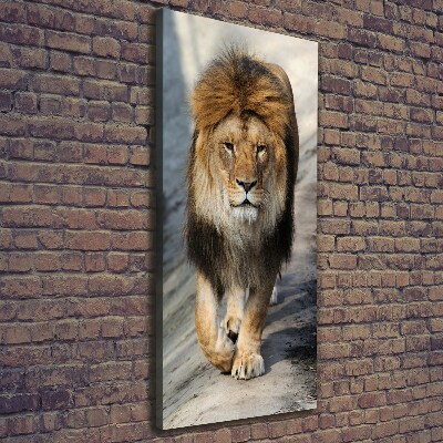 Canvas wall art Lion