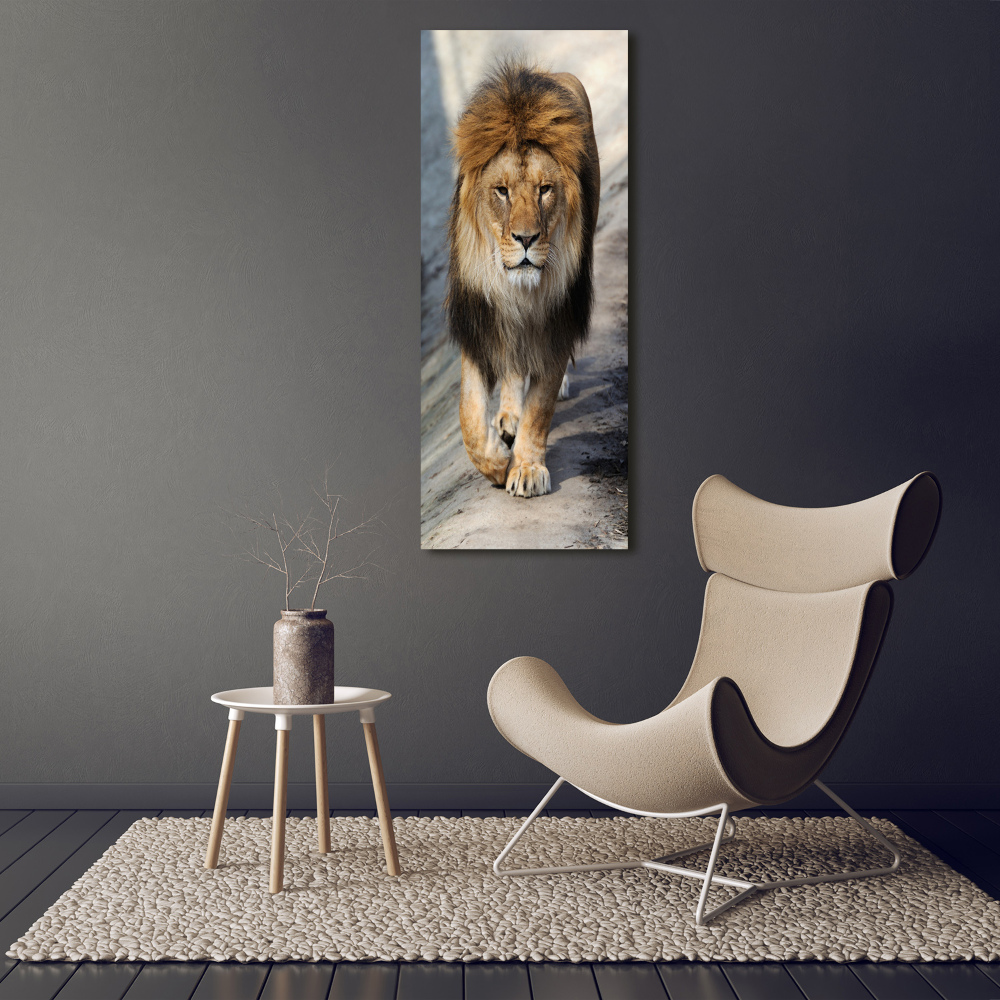 Canvas wall art Lion