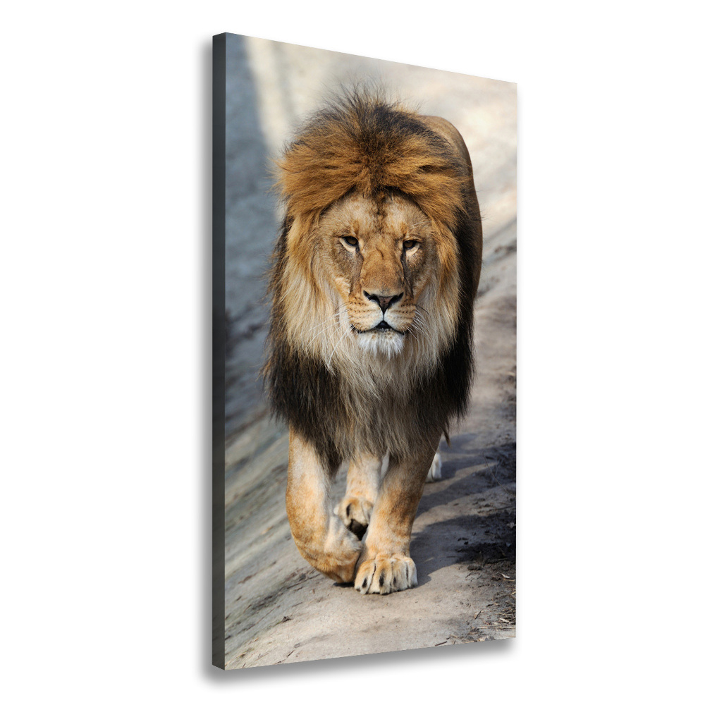 Canvas wall art Lion