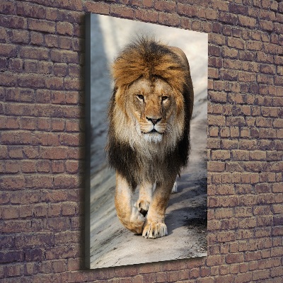 Canvas wall art Lion