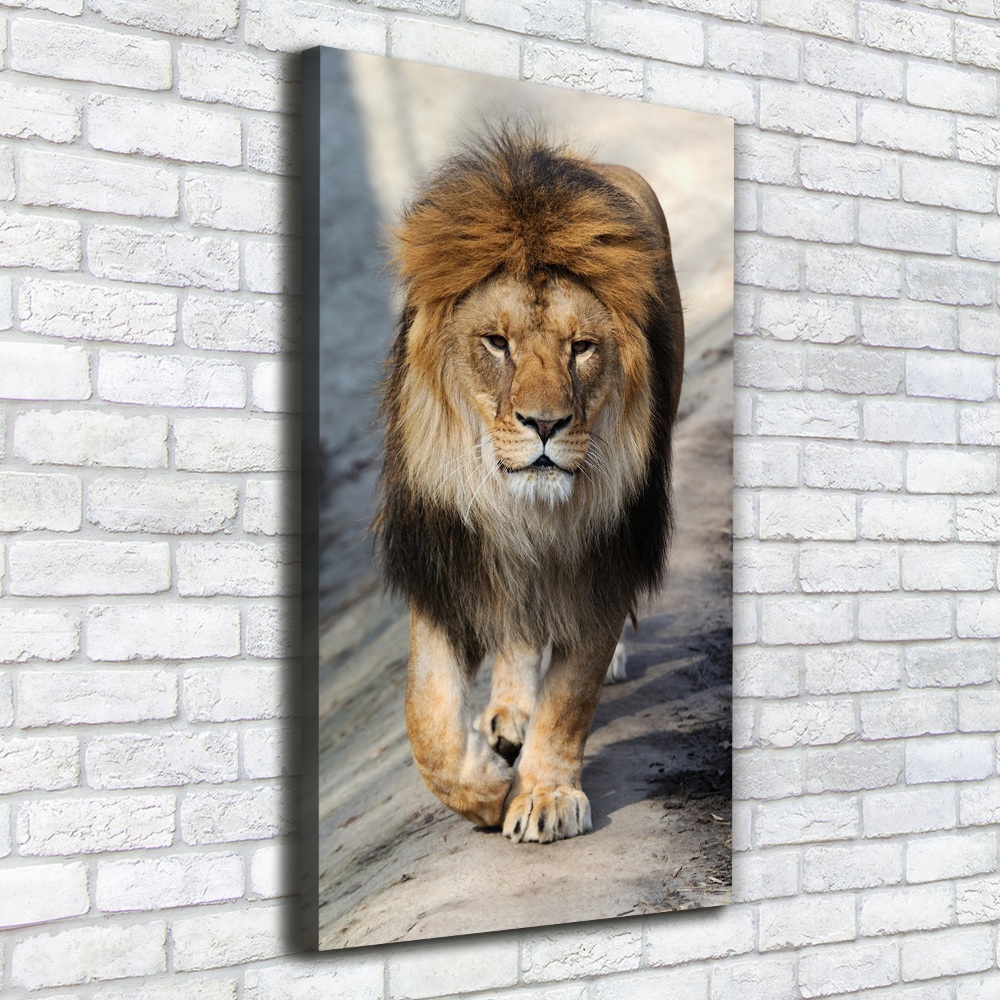 Canvas wall art Lion