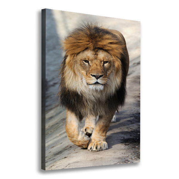 Canvas wall art Lion