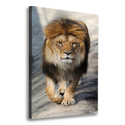 Canvas wall art Lion