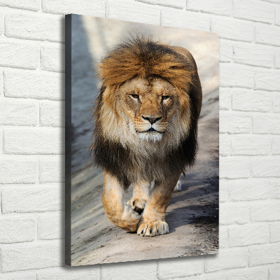 Canvas wall art Lion