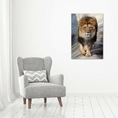 Canvas wall art Lion