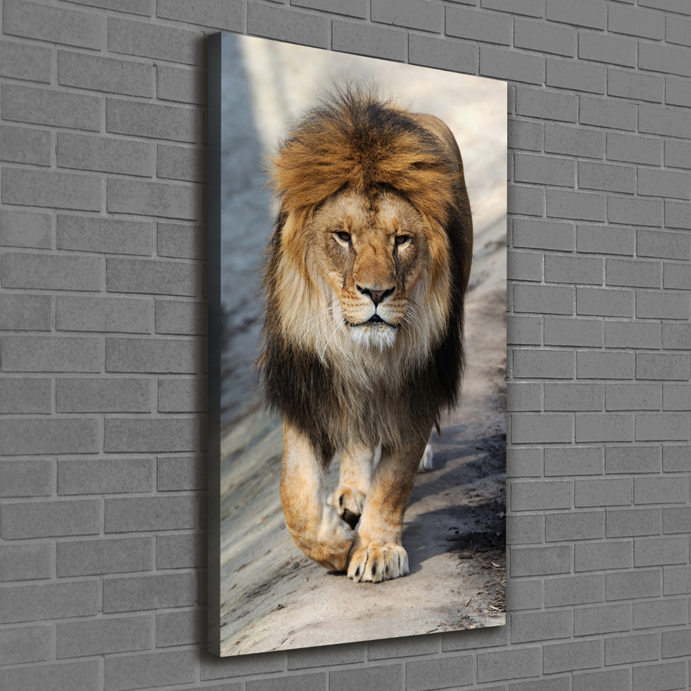 Canvas wall art Lion