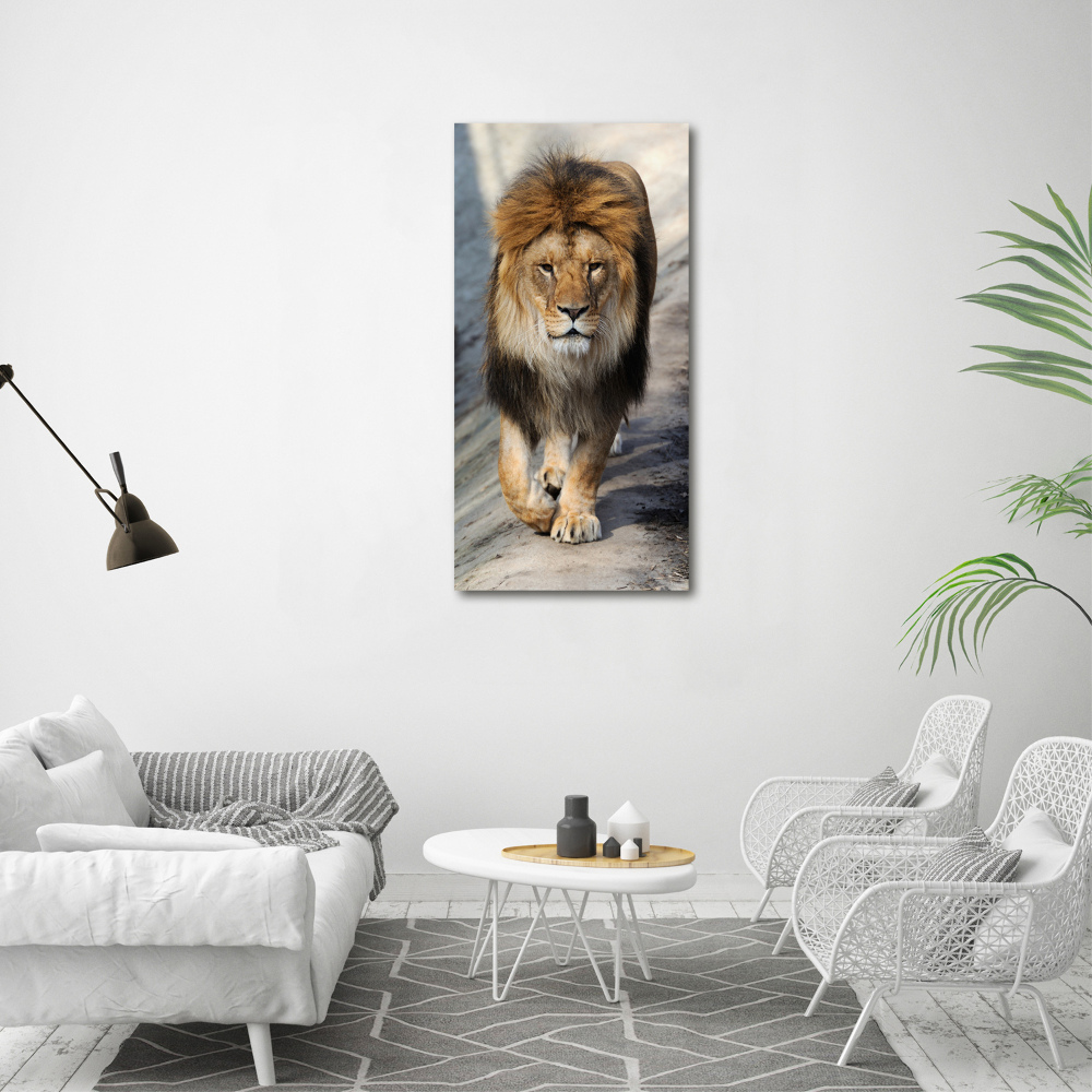 Canvas wall art Lion