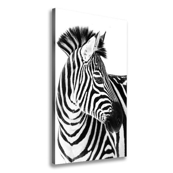 Canvas wall art Zebra in the snow