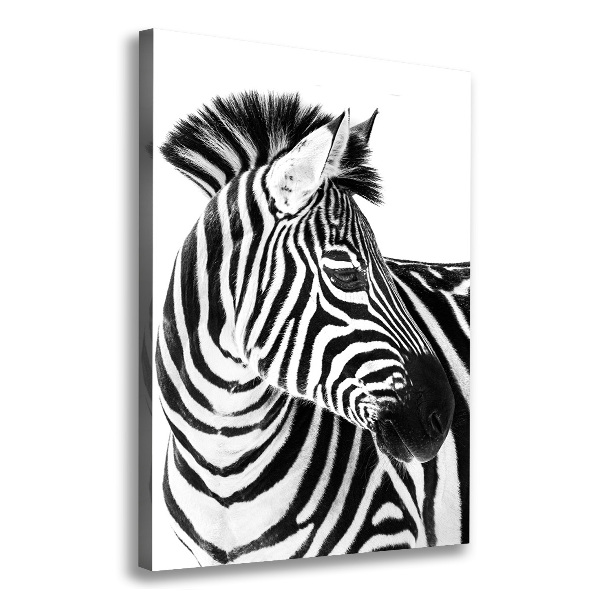 Canvas wall art Zebra in the snow