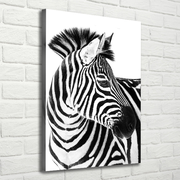 Canvas wall art Zebra in the snow