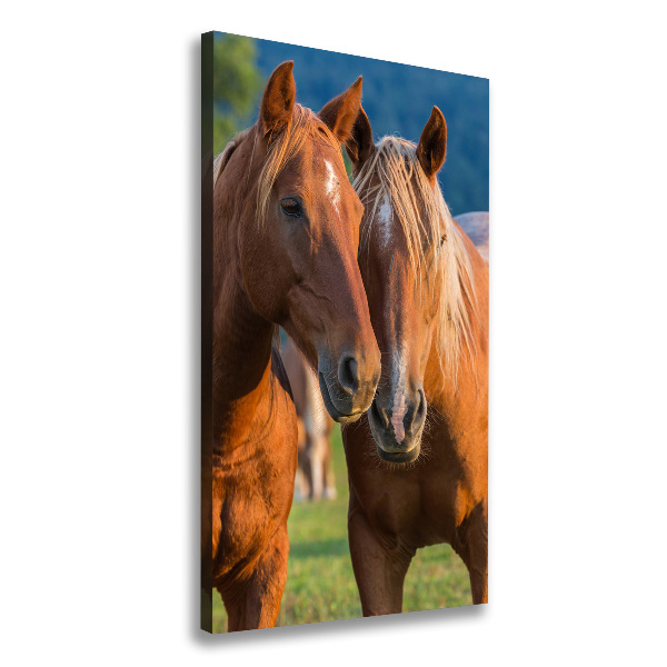 Large canvas wall art Two horses